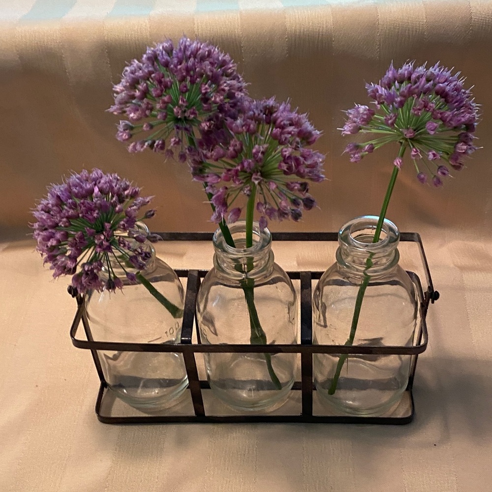 Elegant Minimalist Glass Vase Trio with Metal Holder 🌹🌹